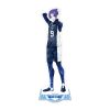 2023 NEW Anime BLUE LOCK Isagi Yoichi Stand Figure Acrylic Toys Desktop Decor Birthday Model Plate 4 - Official Blue Lock Store